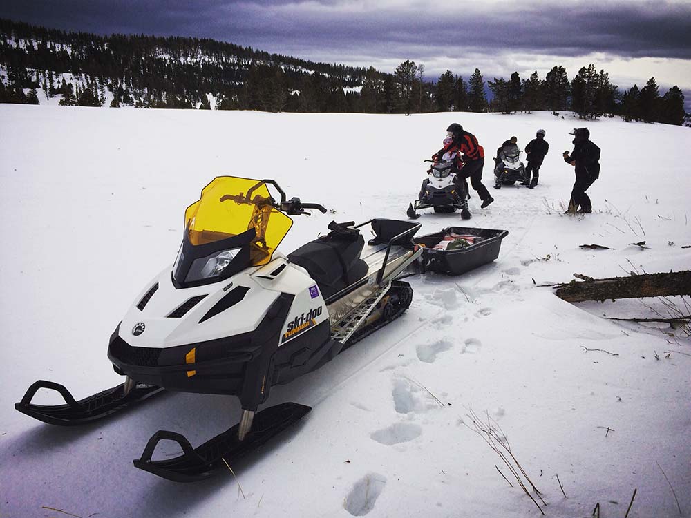 trail riders snowmobiling in montana