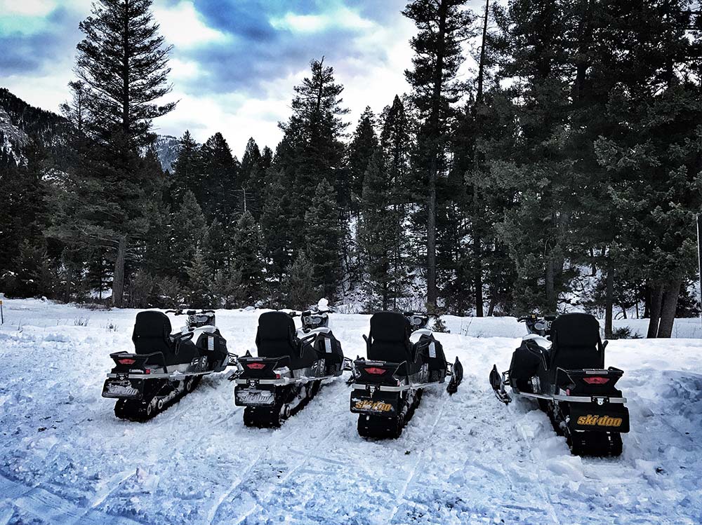 line of riders in forest snowmobiling in montana