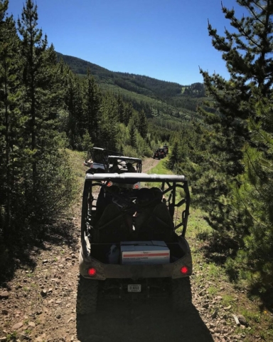 side by side trail riding in montana through forest