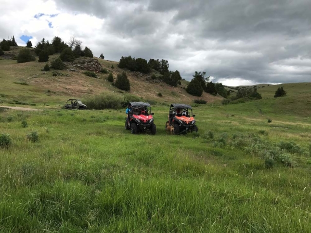 two side by sides on a lush montana trail
